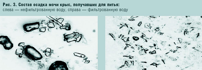 Рис. 3. Состав осадка мочи крыс, получавших для питья