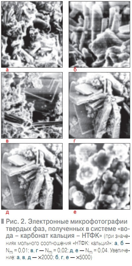 Рис. 2. Электронные микрофотографии твердых фаз, полученных в системе «вода – карбонат кальция – НТФК»