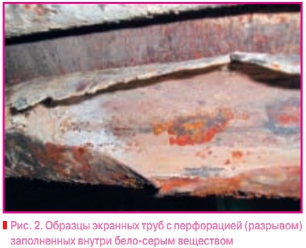 Рис. 2. Образцы экранных труб с перфорацией (разрывом) заполненных внутри бело-серым веществом