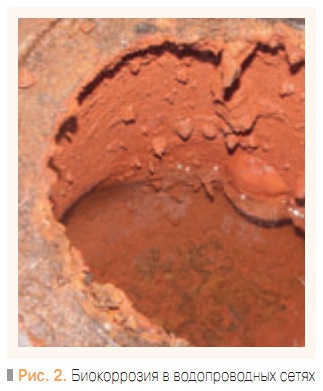 Рис. 2. Биокоррозия в водопроводных сетях