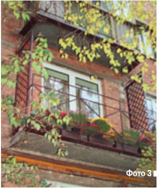 Фото 3