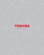 Каталог Toshiba 2022 - Мультизональные VRF-системы 