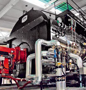 Подразделение промышленных котлов Ferroli. 2/2011. Фото 1