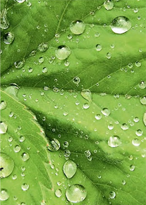 Эксплуатационные параметры работы кондиционера. 2/2011. Фото 2