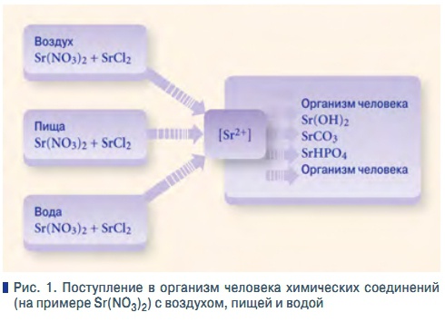 Рис. 1. Поступление в организм человека химических соединений  (на примере Sr(NO3)2) с воздухом, пищей и водой