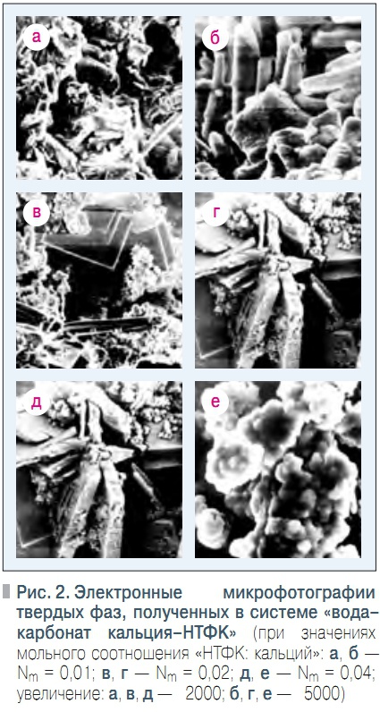 Рис. 2. Электронные микрофотографии  твердых фаз, полученных в системе «вода–карбонат кальция–НТФК»