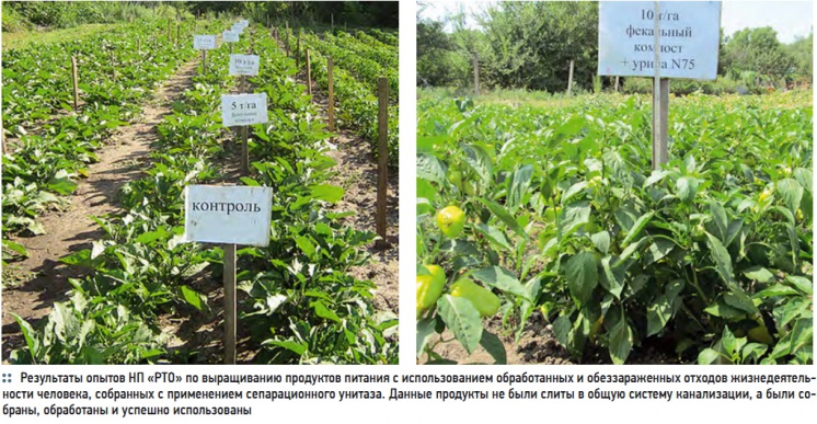 Результаты опытов НП «РТО» по выращиванию продуктов питания с использованием обработанных и обеззараженных отходов жизнедеятельности человека, собранных с применением сепарационного унитаза. Данные продукты не были слиты в общую систему канализации, а были собраны, обработаны и успешно использованы