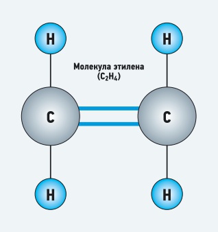 Рис. 1. Молекула этилена