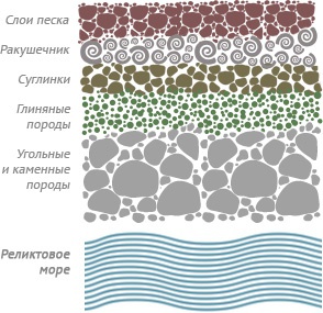 Рис. 1. Природные пласты