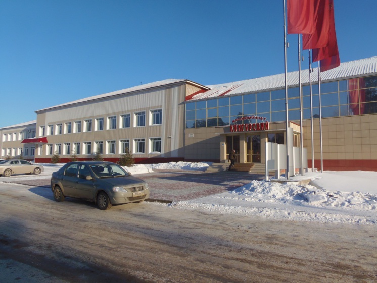 Рис. 1. Мясокомбинат «Кунгурский»