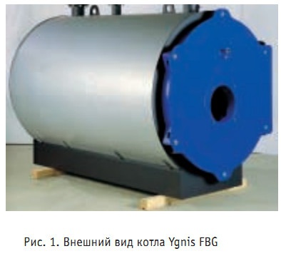 Рис. 1