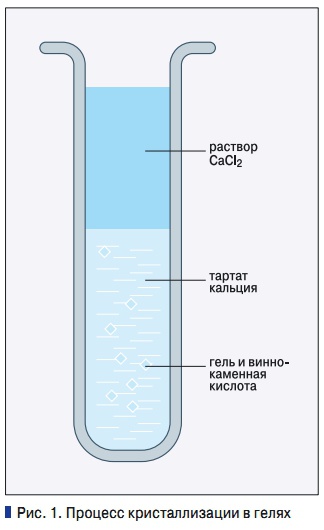 Рис. 1. Процесс кристаллизации в гелях