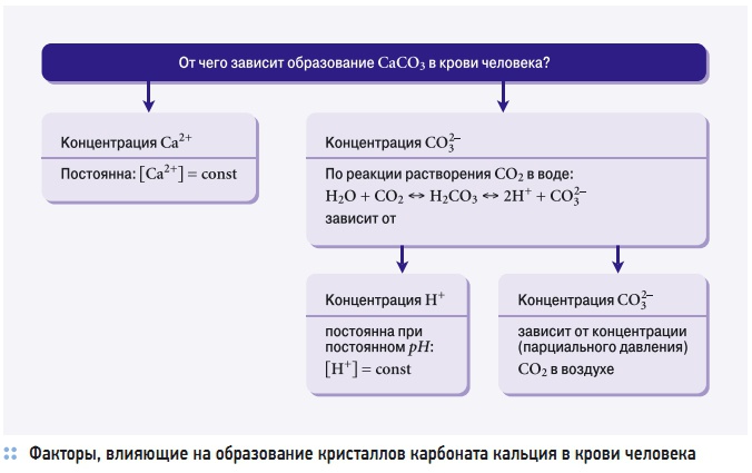 Факторы, влияющие на образование кристаллов карбоната кальция в крови человека