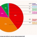 Рис. 1. Структура российского рынка водонагревателей
