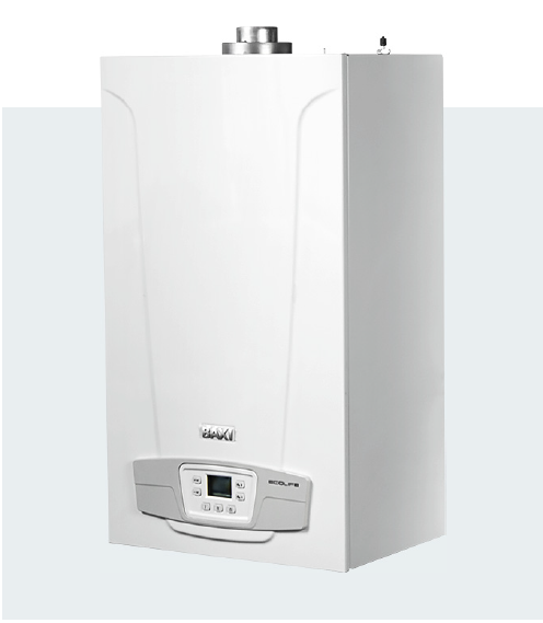 Baxi eco life 24 квт