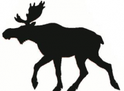 Логотип Лосев
