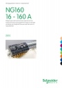 Каталог Schneider Electric 2015 - Модульные автоматические выключатели NG160