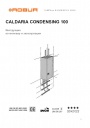 Конденсационные настенные котлы Robur серии Caldaria Condensing 100
