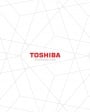 Каталог оборудования Toshiba 2023 - Системы кондиционирования