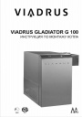Газовый котел Viadrus Gladiator G 100