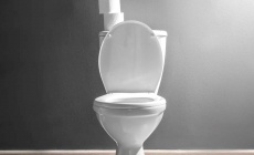 Опущенная крышка унитаза не сдержала микробные аэрозоли после смыва