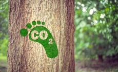 Carbon footprint: what is it and why should we be concerned?