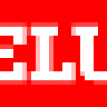 Close cooperation of Viessmann and VELUX