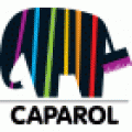 Новый сайт Caparol