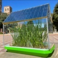 Органическим солнечным панелям нашли применение в сельском хозяйстве