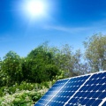China launches solar-powered buses