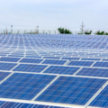 В Приамурье начнут строить солнечный парк в 2024 году