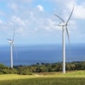 Выработка ветровой электроэнергии «очень предсказуема»