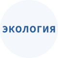 Как в Москве развивается инфраструктура для электромобилей