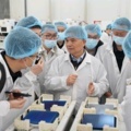 Jolywood начинает производство солнечных ячеек TOPCon с низким содержанием серебра