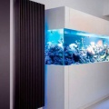 New heaters Iguana Plus 