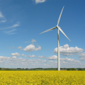 Wind park Snowtown 