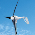 The experts discussed the role of wind energy in Russia