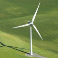 Potential growth for biomass industry