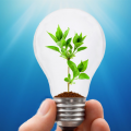 The procedure of mandatory energy audit in St. Petersburg