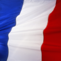 Weltec Biopower Builds 500 kW Plant in France
