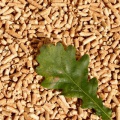 The Popularity of Wood Pellets in EU