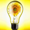 Energy consumption in Belarus