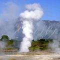 Техас получил выгодное предложение от CALMAS