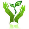 Green Deal