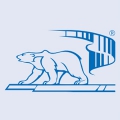 Арктика Лого