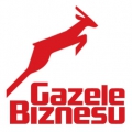 Gazele Biznesu