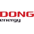 Ценные бумаги Dong Energy на ветер. Грандиозные публичные торги 