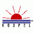 Универсальные электрокотлы Kospel