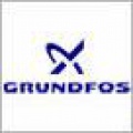 Президент GRUNDFOS встретился с Владимиром Путиным
