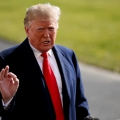 Трамп снова хочет урезать бюджет возобновляемой энергетики